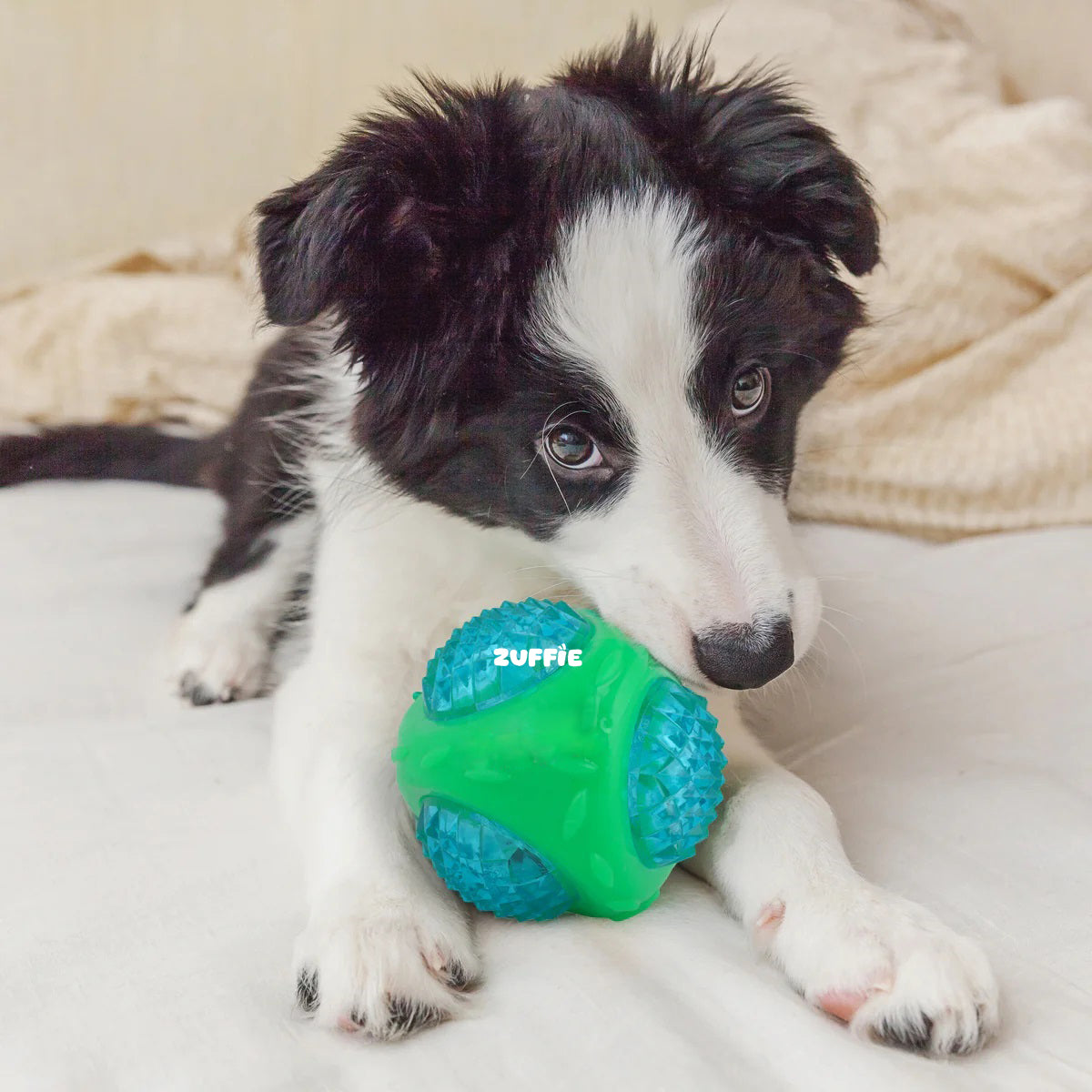ZUFFIE Flashing Ball Dog Chew Toy for Small, Medium & Large Dogs - Green & Blue
