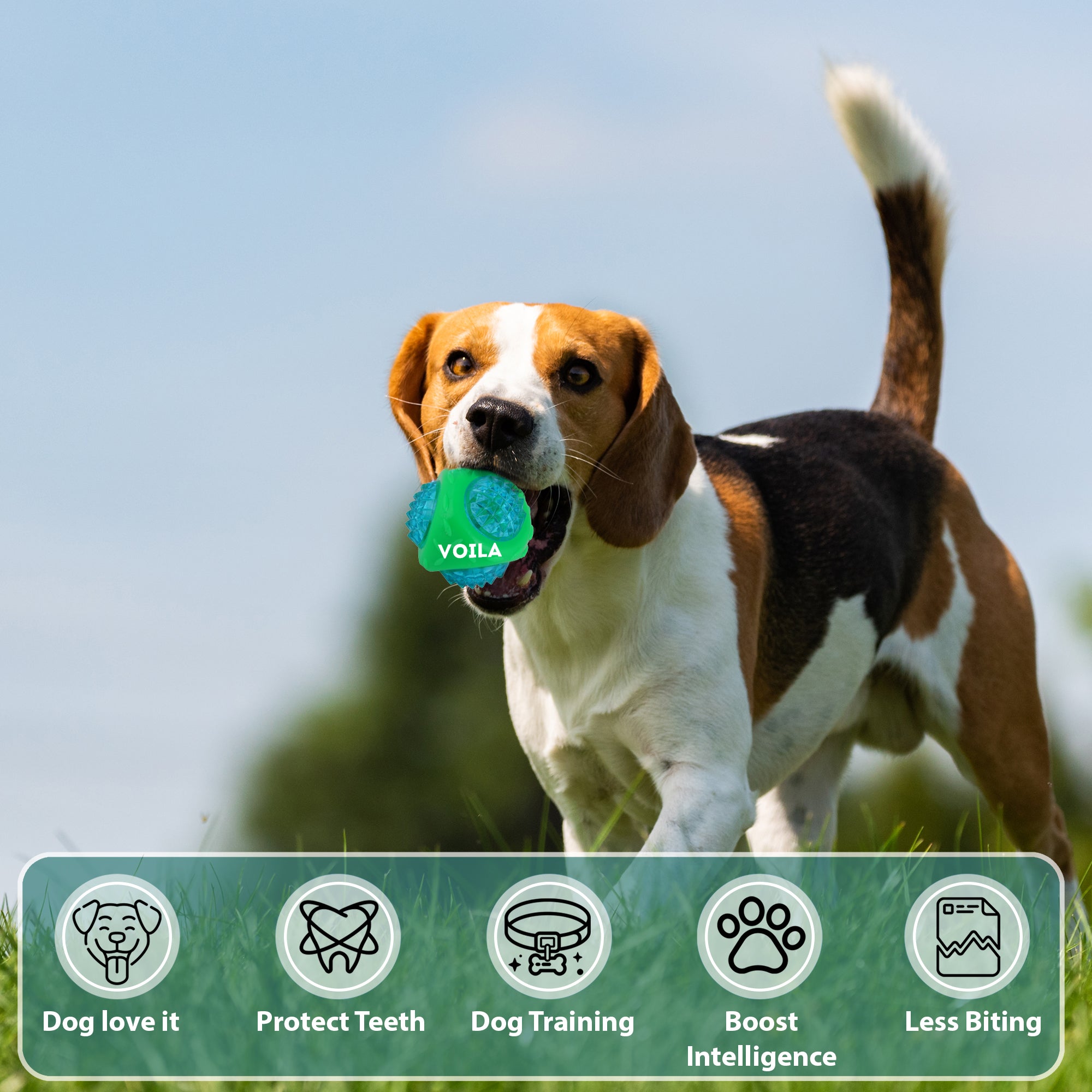 ZUFFIE Flashing Ball Dog Chew Toy for Small, Medium & Large Dogs - Green & Blue