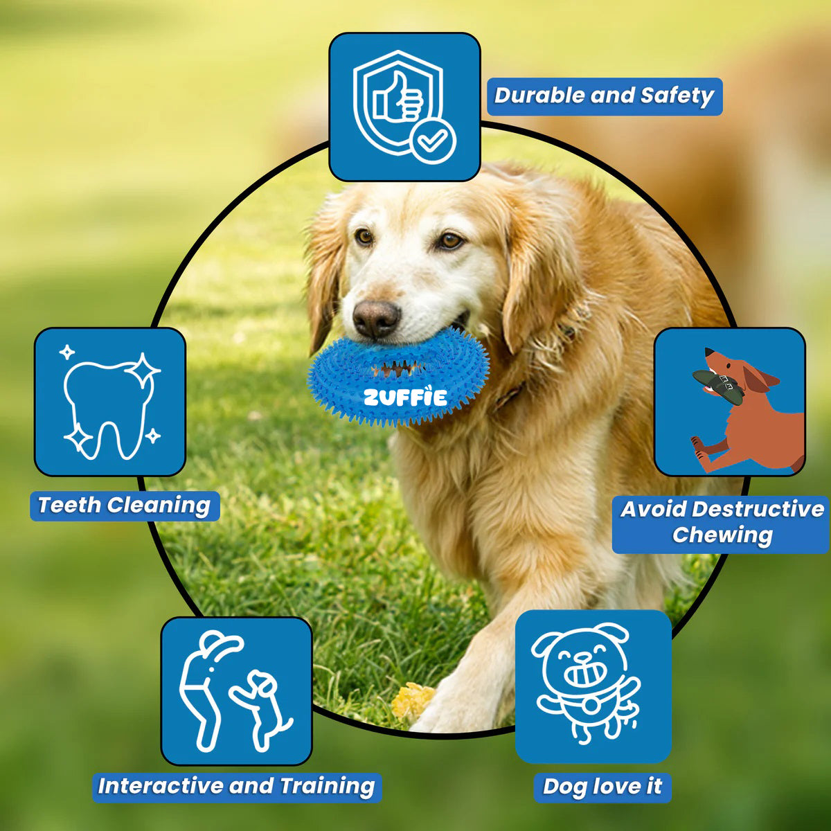 ZUFFIE Chew Ring Shaped – Spiked Dog Toy for Small, Medium & Large Breeds- Blue