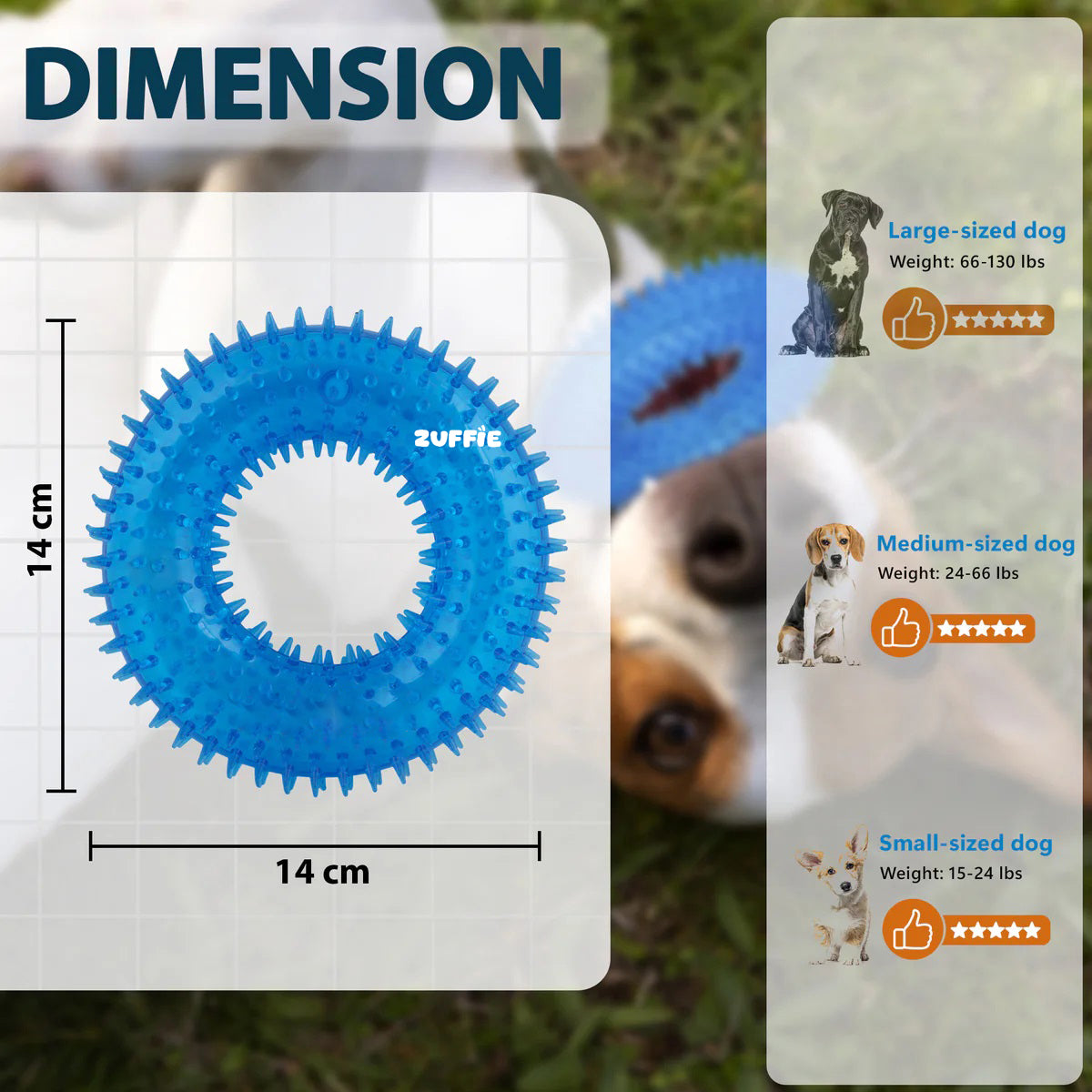 ZUFFIE Chew Ring Shaped – Spiked Dog Toy for Small, Medium & Large Breeds- Blue