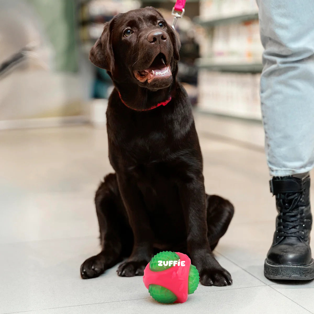 ZUFFIE Flashing Ball Dog Chew Toy for Small, Medium & Large Dogs - Green & Pink