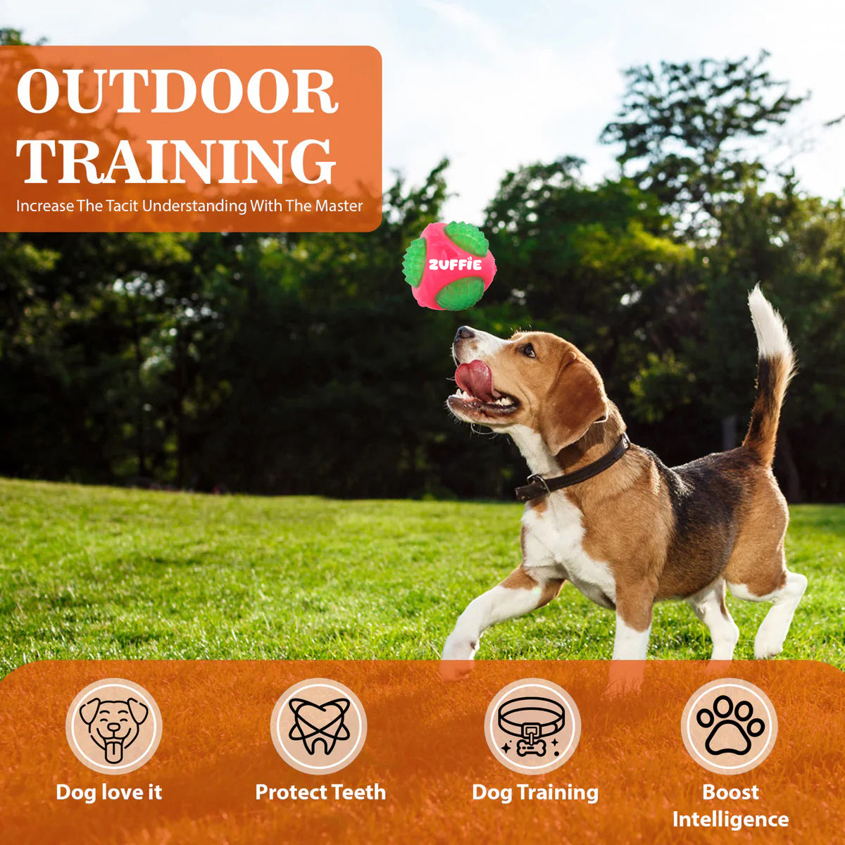 ZUFFIE Flashing Ball Dog Chew Toy for Small, Medium & Large Dogs - Green & Pink