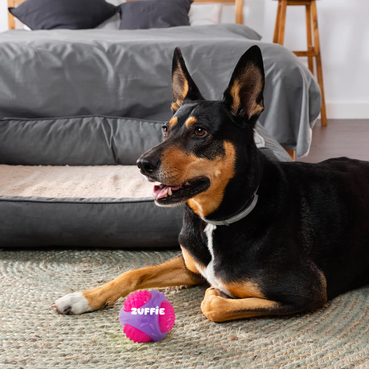 ZUFFIE Flashing Ball Dog Chew Toy for Small, Medium & Large Dogs - Purple & Pink