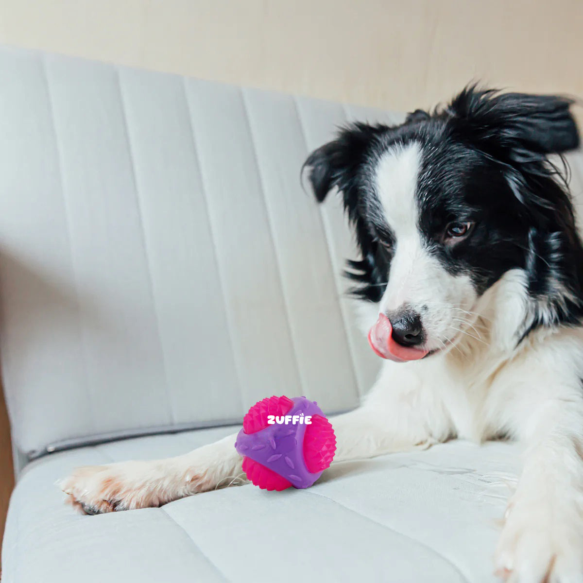 ZUFFIE Flashing Ball Dog Chew Toy for Small, Medium & Large Dogs - Purple & Pink