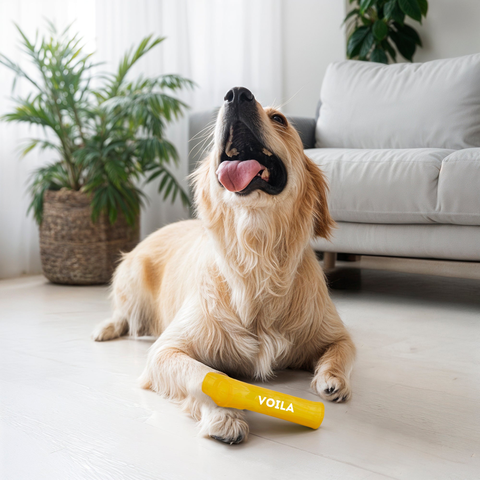ZUFFIE Branch Shape Dog Chew Toy, Interactive Puppy Teething Aid - Yellow
