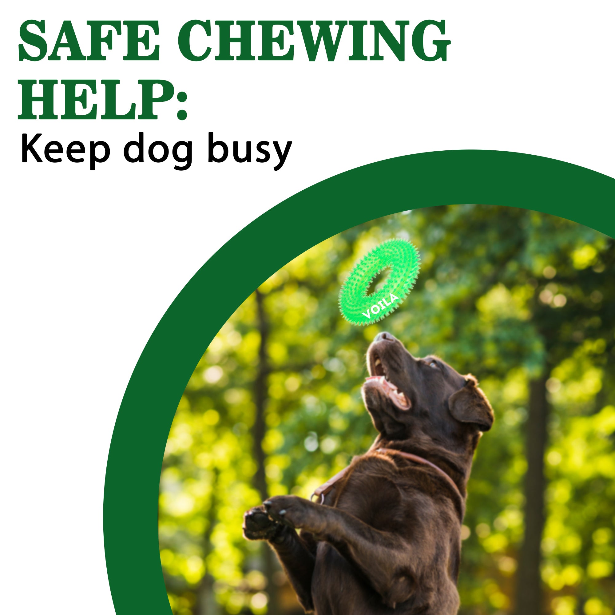 ZUFFIE Ring Shaped Dog Chew Toy – Spiked Toy for Small, Medium & Large Breeds- Green