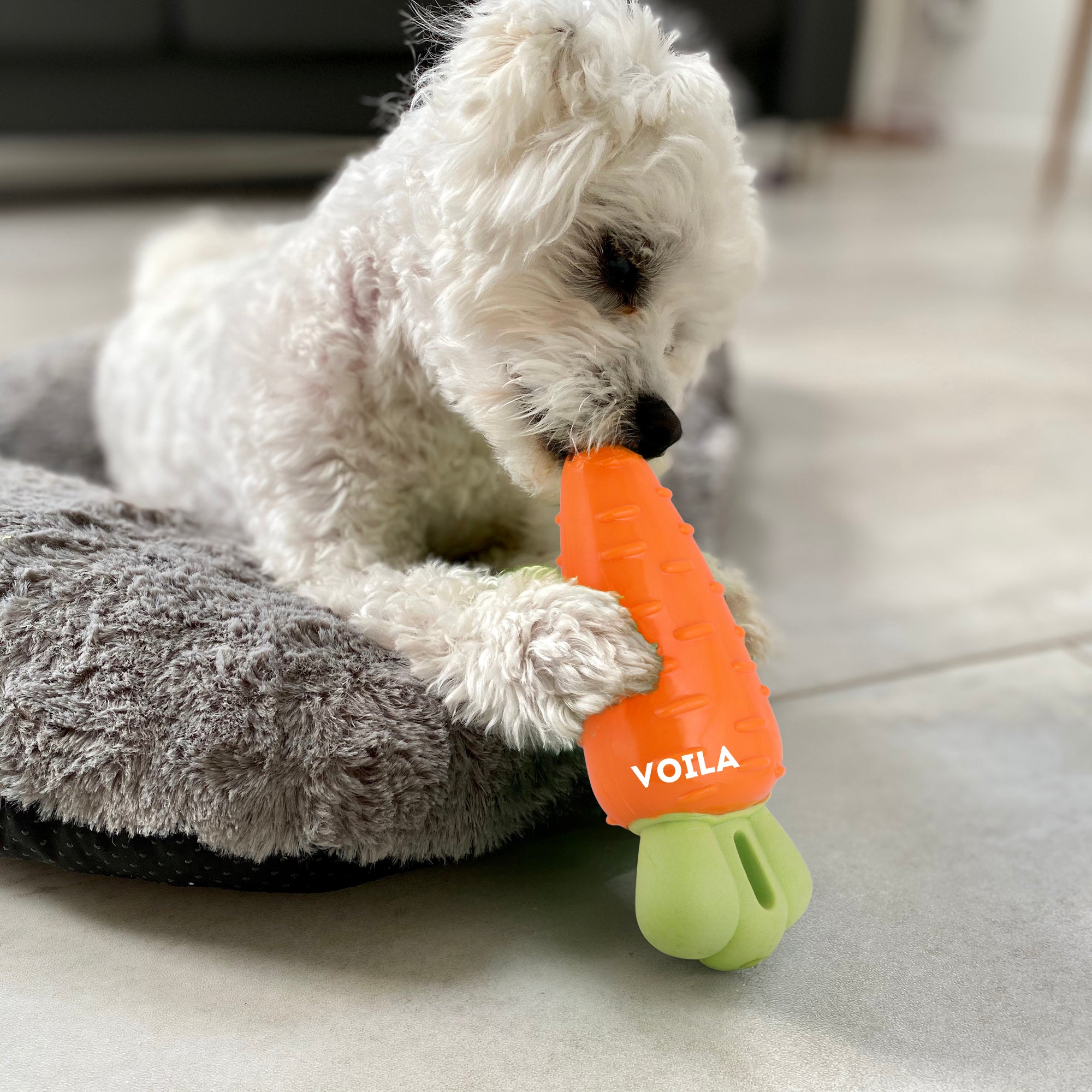ZUFFIE Carrot-Shaped Dog Chew Toy for Puppies, Small & Medium Dogs - Orange & Green