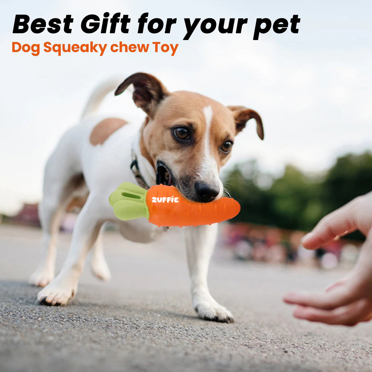 ZUFFIE Carrot-Shaped Dog Chew Toy for Puppies, Small & Medium Dogs - Orange & Green