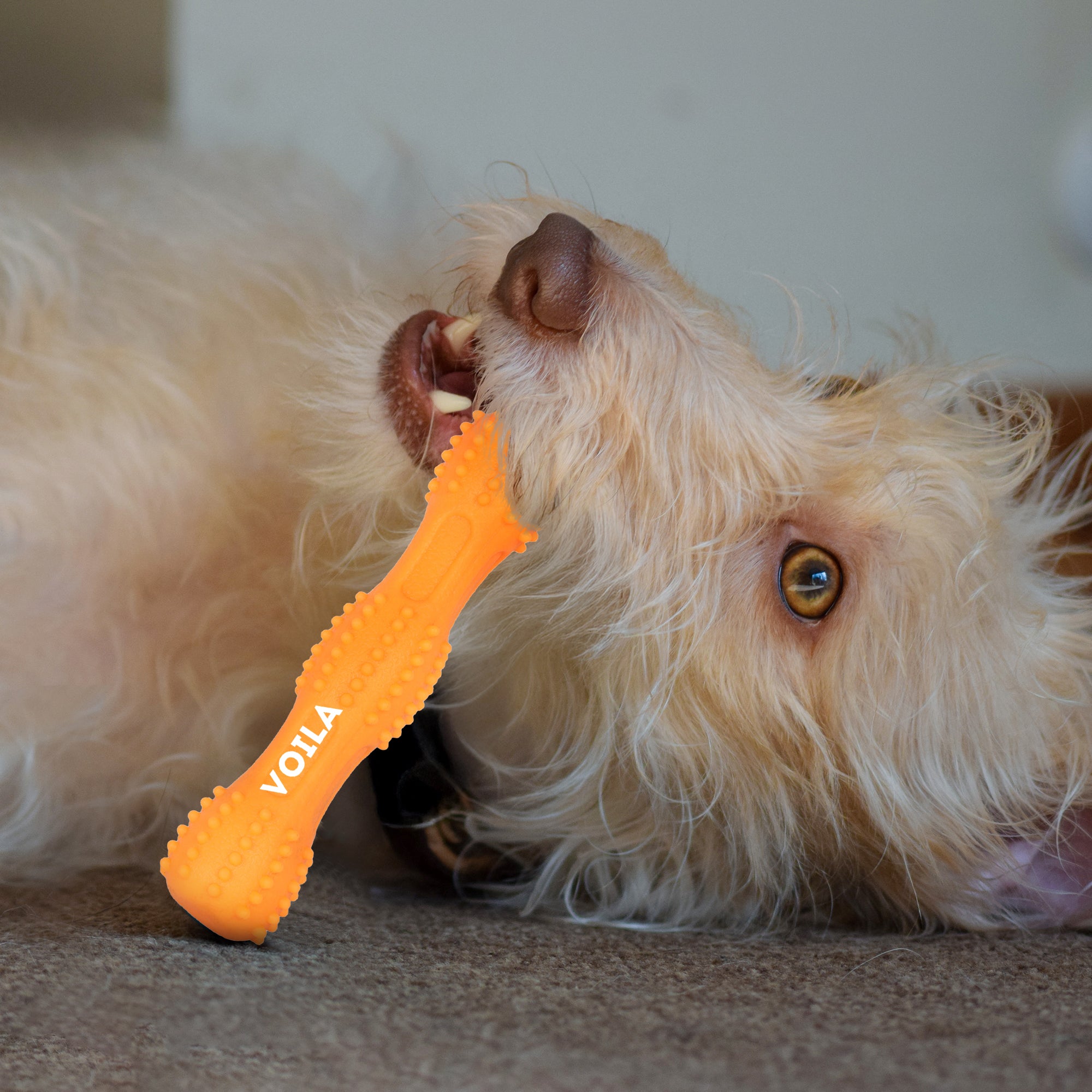 ZUFFIE Dog Chew Toy – Tough Spiky Stick for Medium & Large Pets- Orange