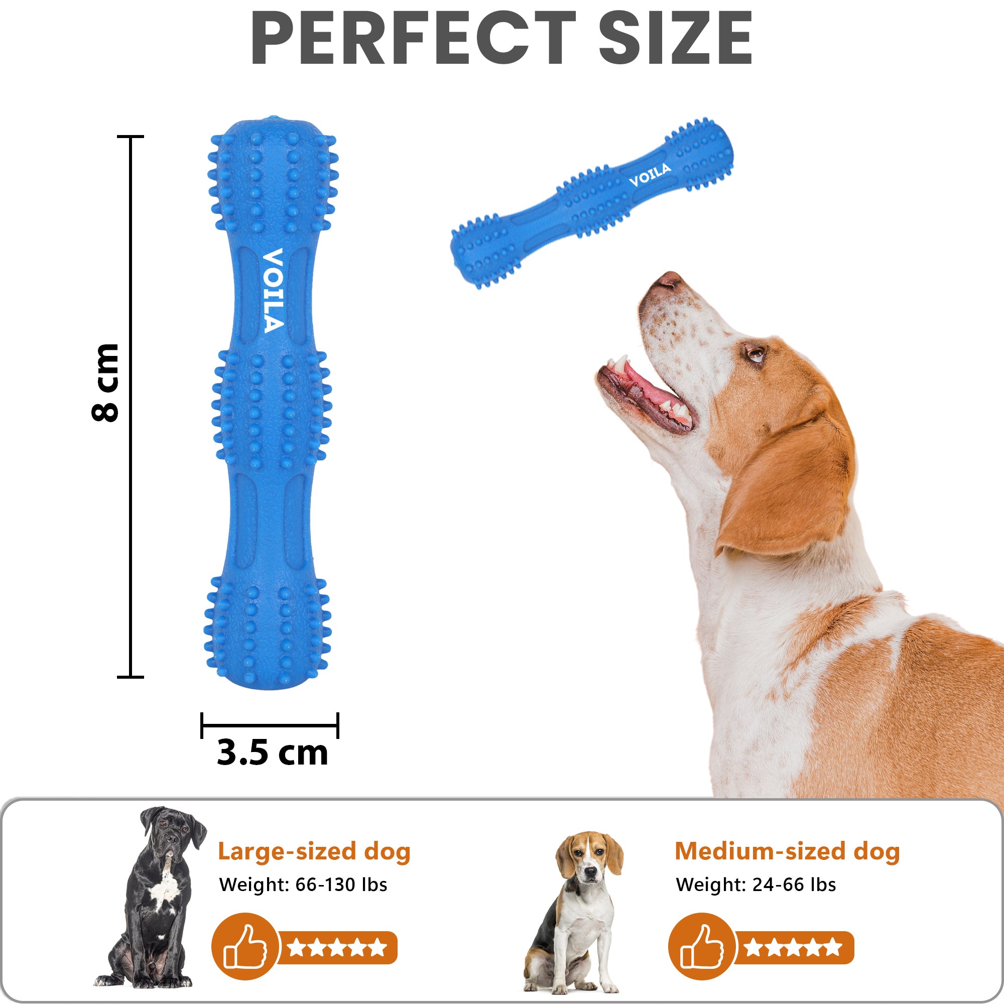 ZUFFIE Dog Chew Toy – Tough Spiky Stick for Medium & Large Pets- Blue