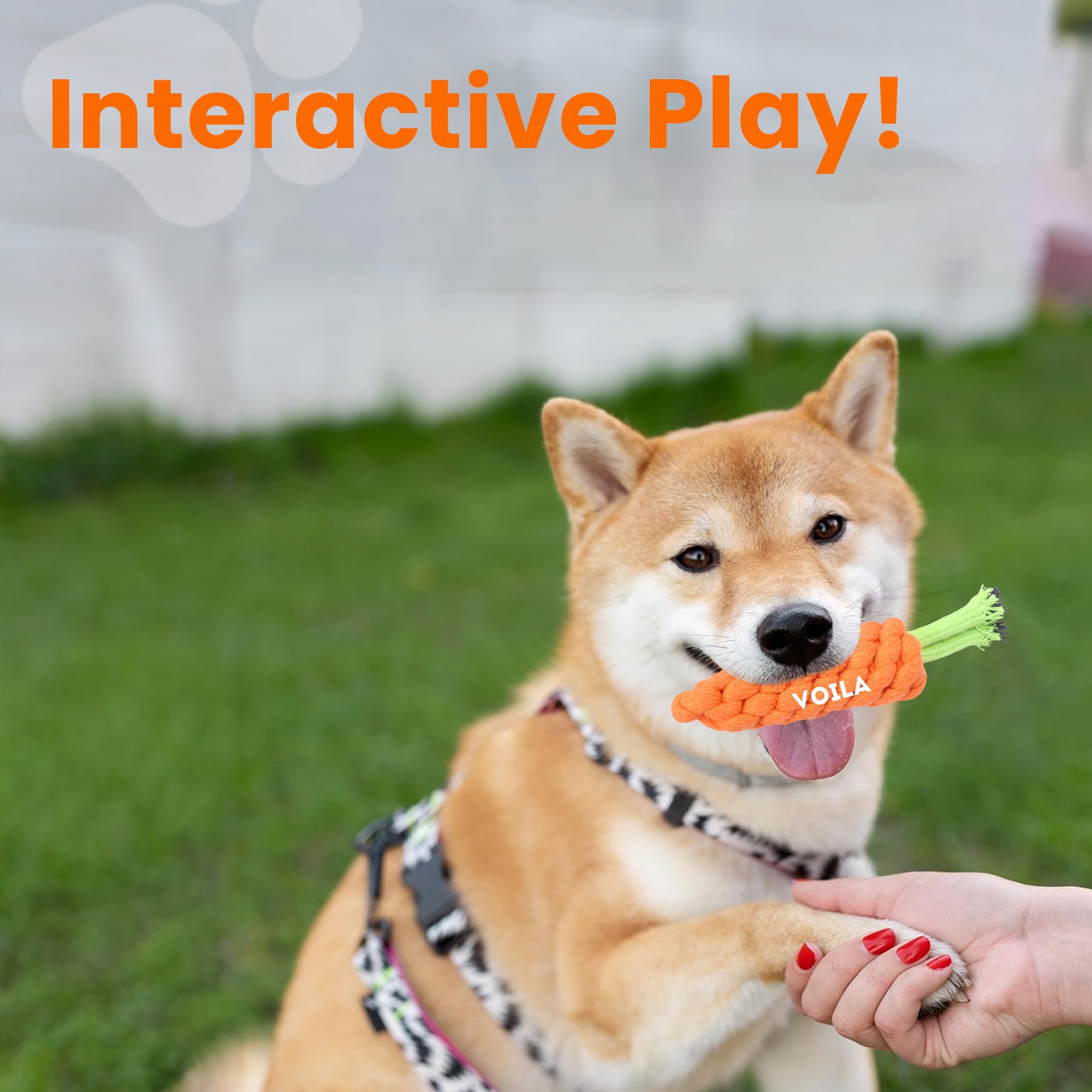 ZUFFIE Carrot Rope Dog Toy – Durable Cotton Chew Toy for Small & Medium Dogs- Orange