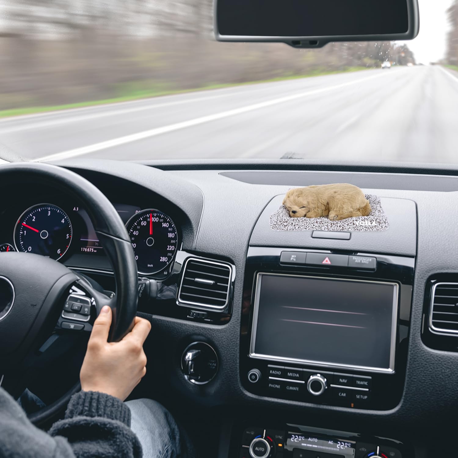 VOILA Sleeping Cut Dog on Carpet for vehicle (Auto, Car, Bus, Truck) Dashboard and Home Decor