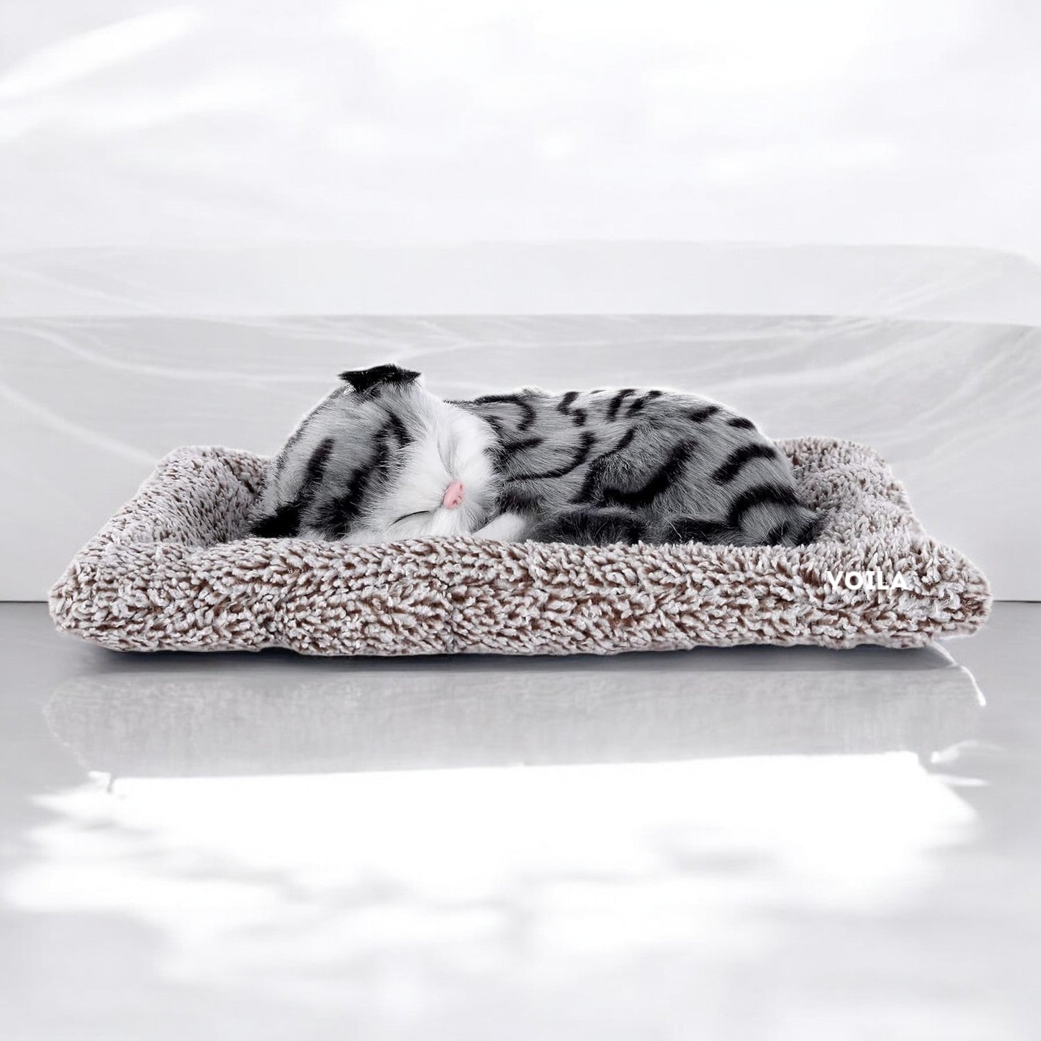 VOILA Sleeping Cute Cat (Black and White) on Carpet for Vehicle (Auto, Car, Bus, Truck) Dashboard and Home Decor