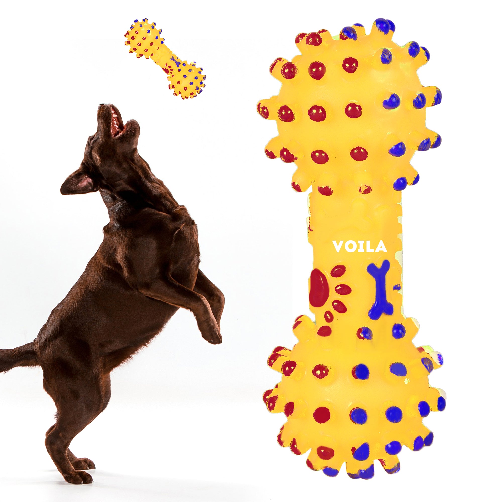 Yellow Pet Dumbbell Interactive Toy for Dogs || For Small, Medium & Large Dogs