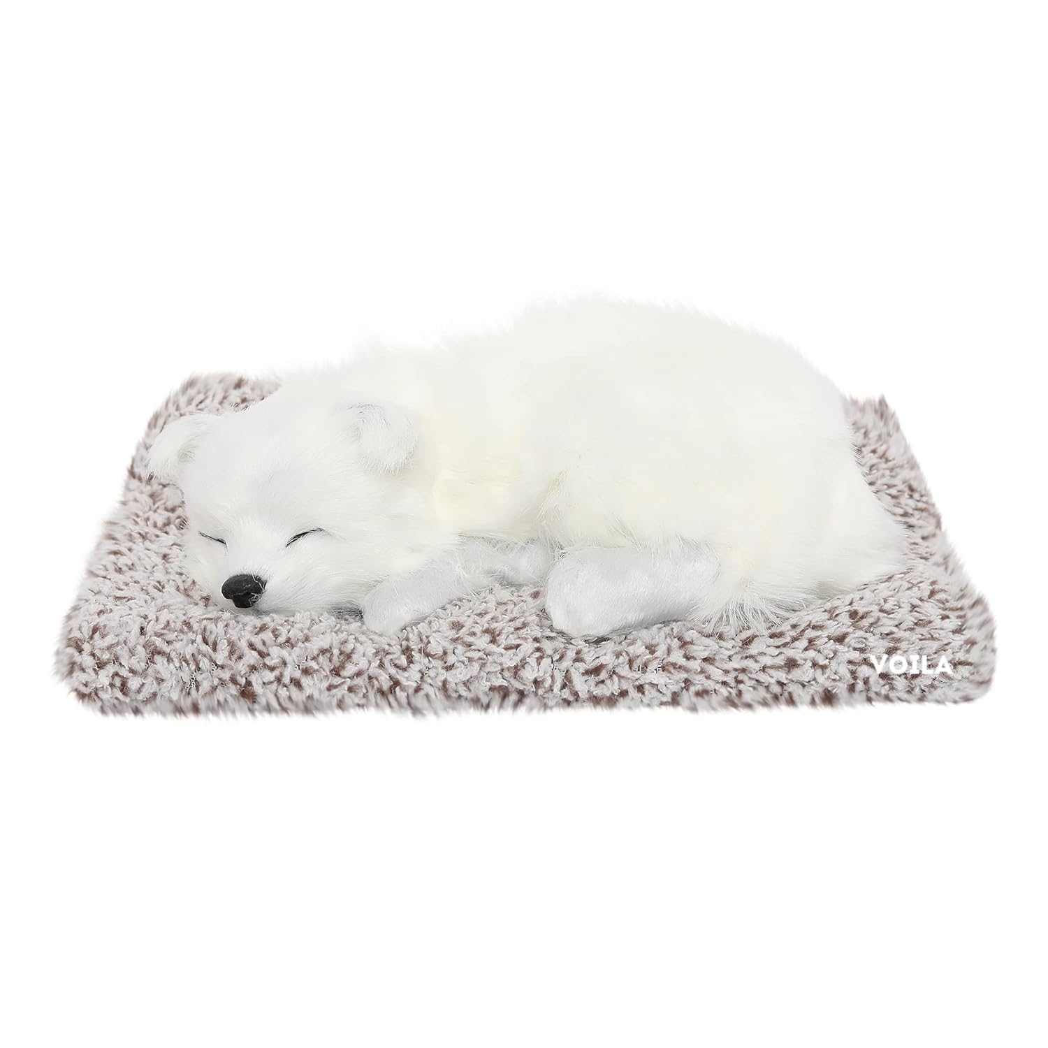 Sleeping Cute Dog (White) on Carpet || for Car Dashboard and Home Decor