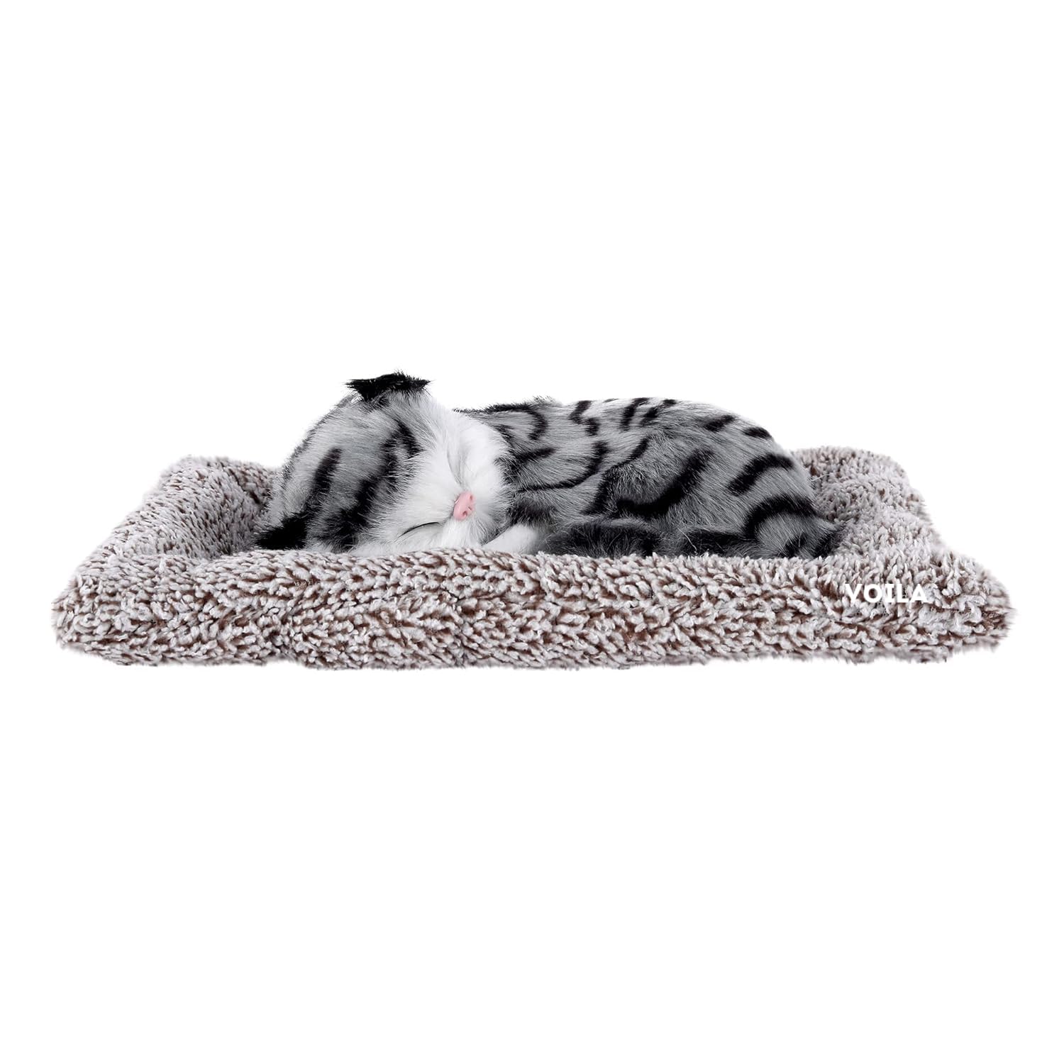 Sleeping Cute Cat (Black and White) on Carpet || for  Vehicle(Auto,Car,Bus,Truck) Dashboard and Home Decor