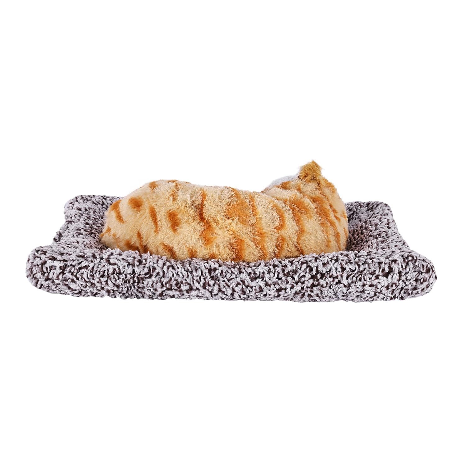 Sleeping Cute Cat (Brown) on Carpet || for Car Dashboard and Home Decor