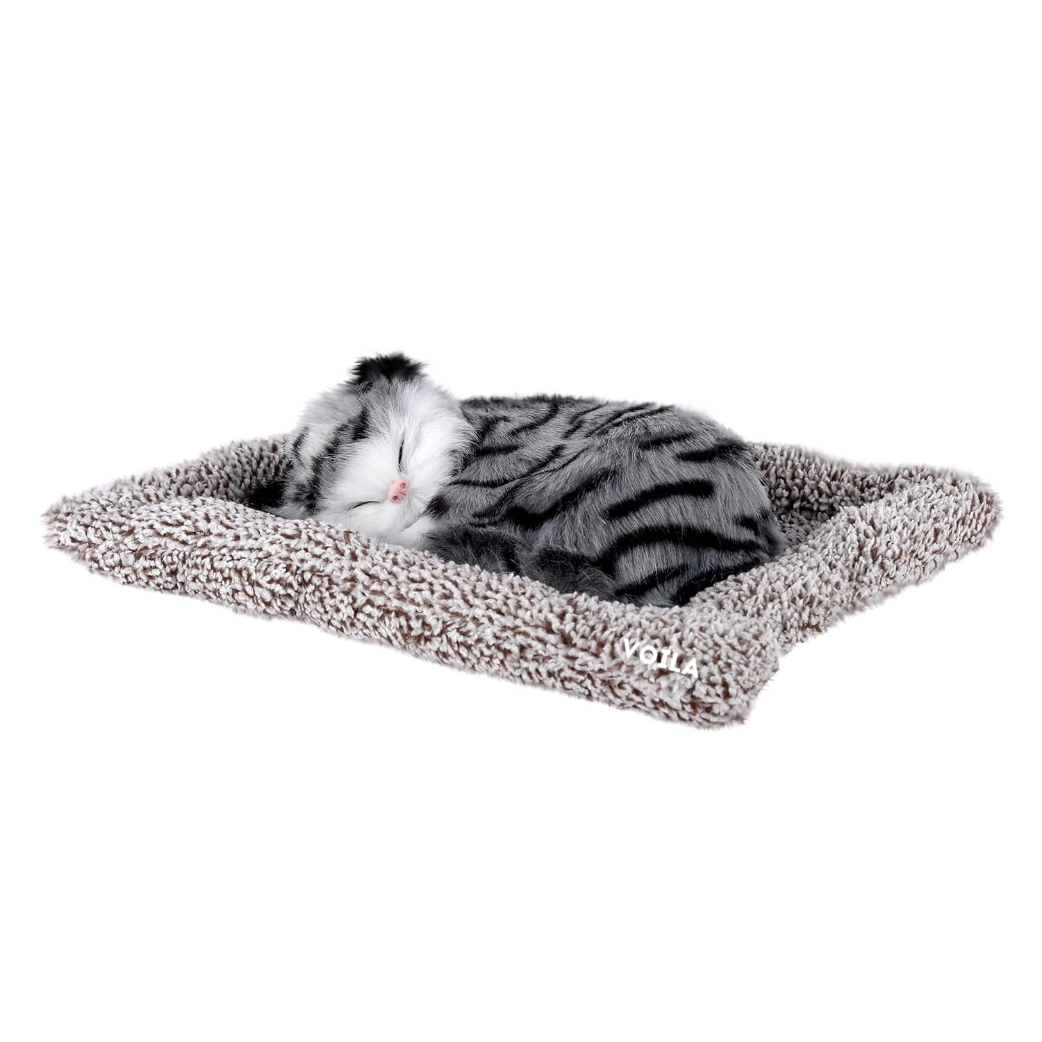 Sleeping Cute Cat (Black and White) on Carpet || for  Vehicle(Auto,Car,Bus,Truck) Dashboard and Home Decor