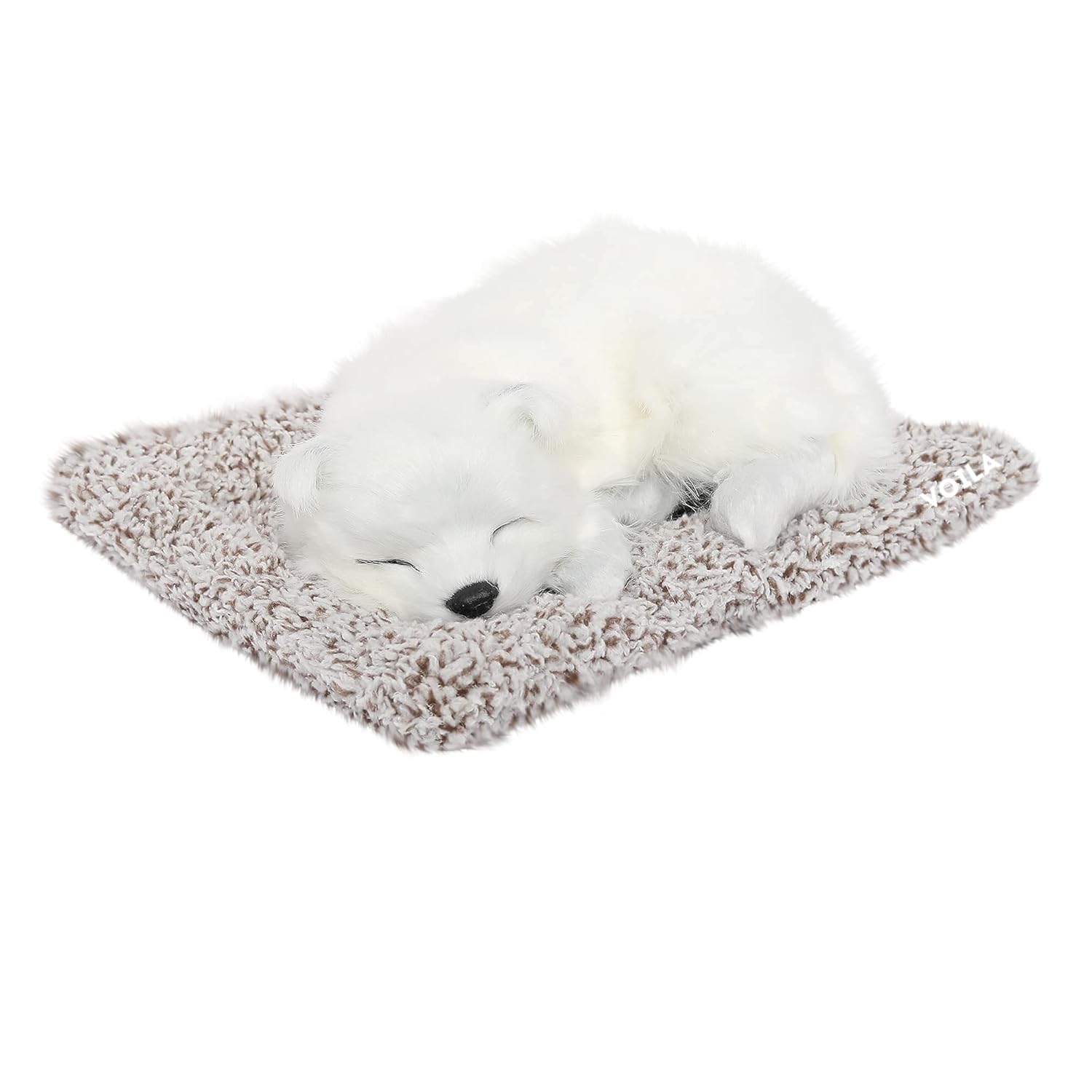 Sleeping Cute Dog (White) on Carpet || for Car Dashboard and Home Decor