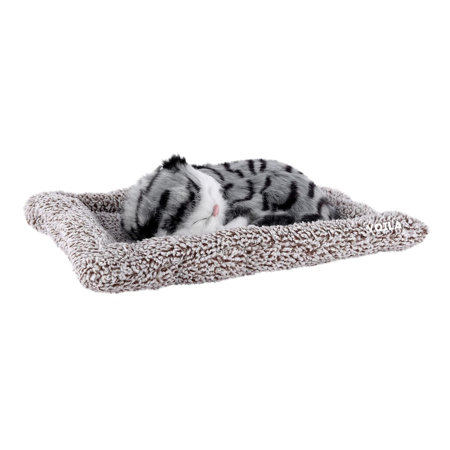 Sleeping Cute Cat (Black and White) on Carpet || for  Vehicle(Auto,Car,Bus,Truck) Dashboard and Home Decor