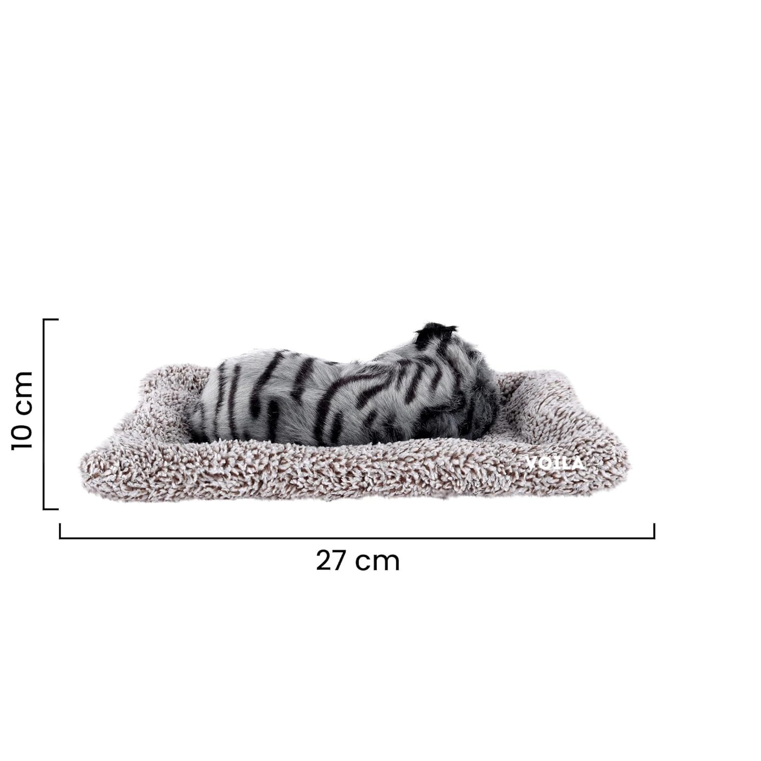 Sleeping Cute Cat (Black and White) on Carpet || for  Vehicle(Auto,Car,Bus,Truck) Dashboard and Home Decor