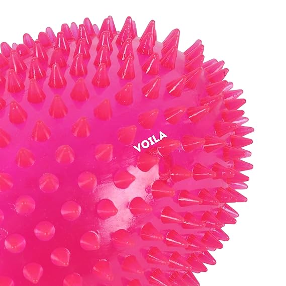 Spiky Rubber Dog Toy Non-Toxic, Safe, Bouncy Fetch || For Medium, Large & Extra Large Dogs