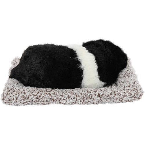 Sleeping Cute Dog (Black and White) on Carpet || for Car Dashboard and Home Decor