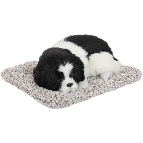 Sleeping Cute Dog (Black and White) on Carpet || for Car Dashboard and Home Decor