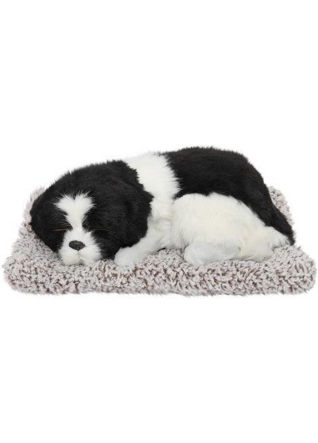 Sleeping Cute Dog (Black and White) on Carpet || for Car Dashboard and Home Decor