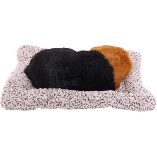 Sleeping Cute Dog (Multi-Color) on Carpet | for Car Dashboard and Home Decor