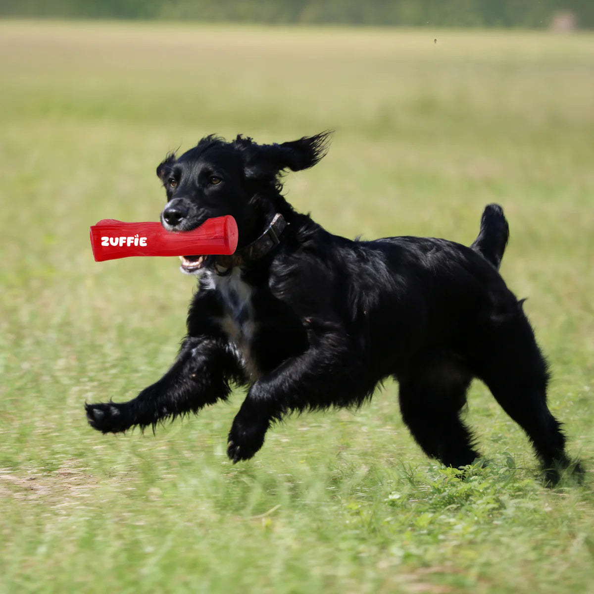 ZUFFIE Branch Shape Dog Chew Toy, Interactive Puppy Teething Aid - Red
