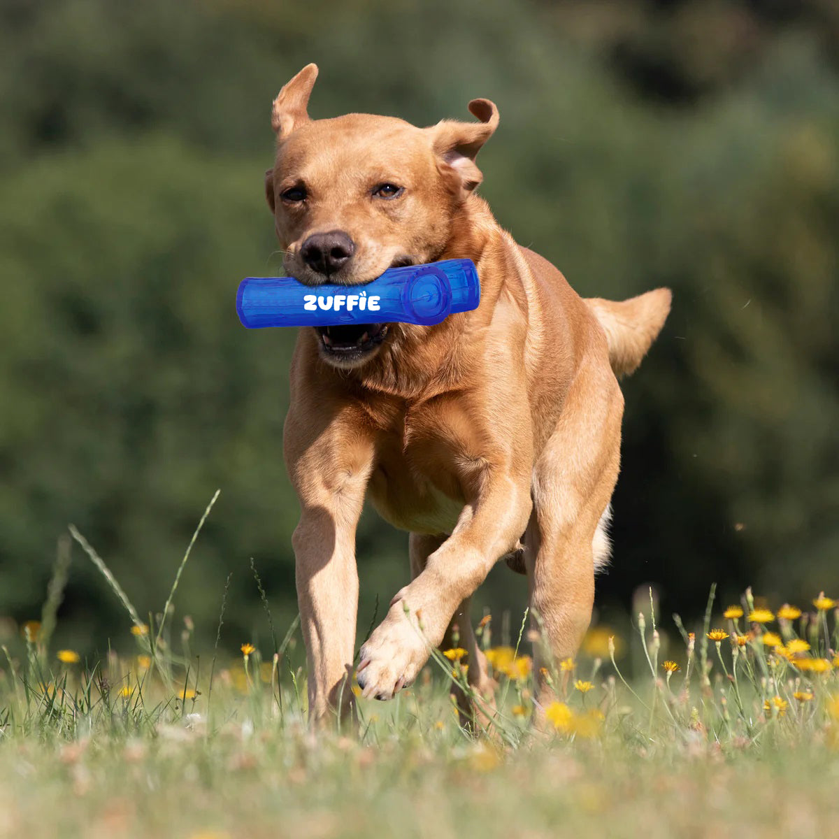 ZUFFIE Branch Shape Dog Chew Toy, Interactive Puppy Teething Aid - Blue