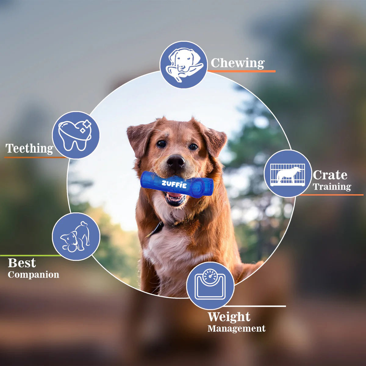 ZUFFIE Branch Shape Dog Chew Toy, Interactive Puppy Teething Aid - Blue