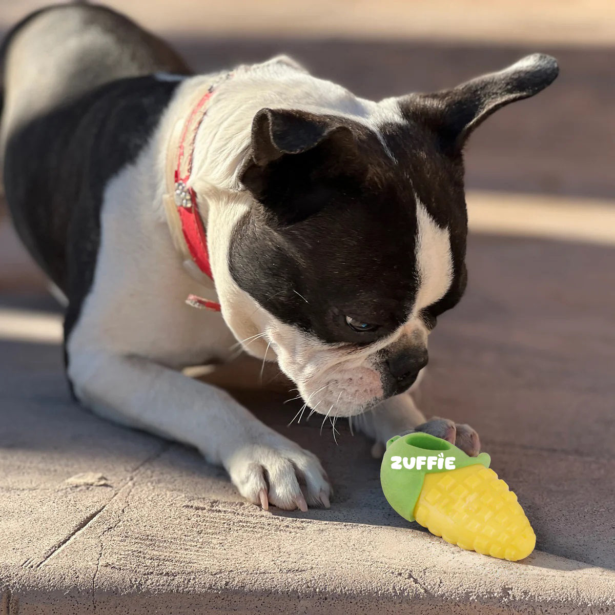 ZUFFIE Corn-Shaped Chewing Toy for Puppies, Small & Medium Dogs – Yellow & Green