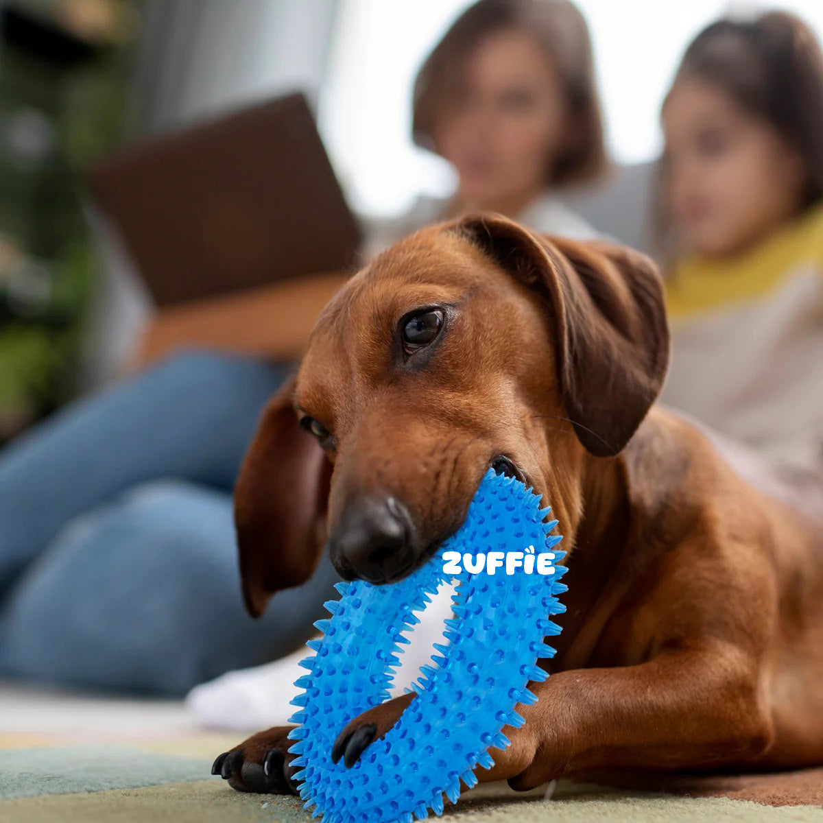 ZUFFIE Chew Ring Shaped – Spiked Dog Toy for Small, Medium & Large Breeds- Blue